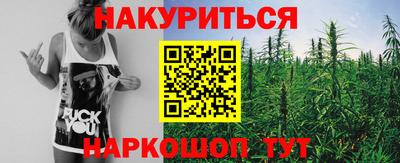 индика Гусиноозёрск