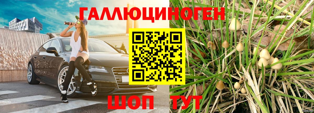 Псилоцибиновые грибы Cubensis  Вход с VPN  Муром 