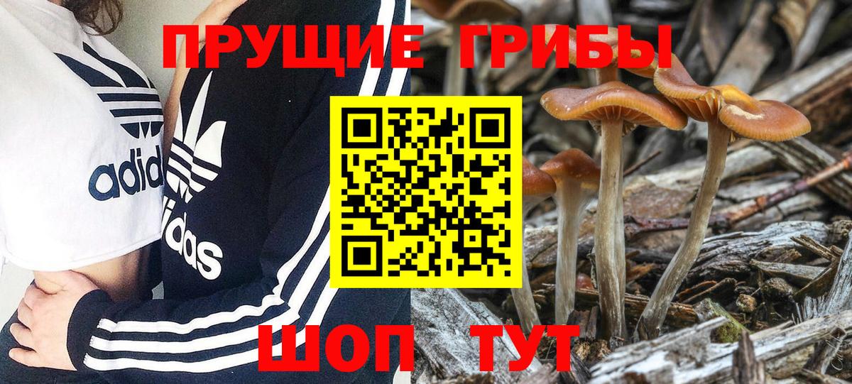ГАШ  Вход с VPN  МЕТАДОН  Конопля  МЕФ  Муром  Меф МЯУ МЯУ кристаллы  Лсд 25 